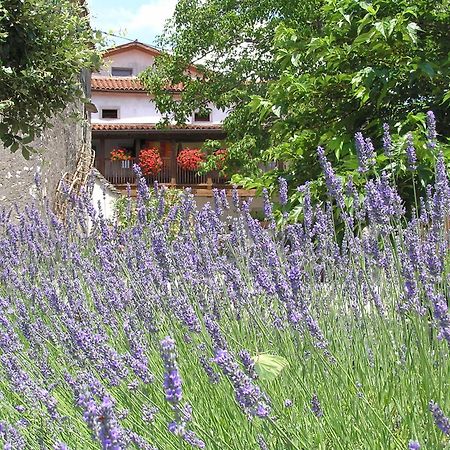 Pliskovica Youth Hostel ภายนอก รูปภาพ