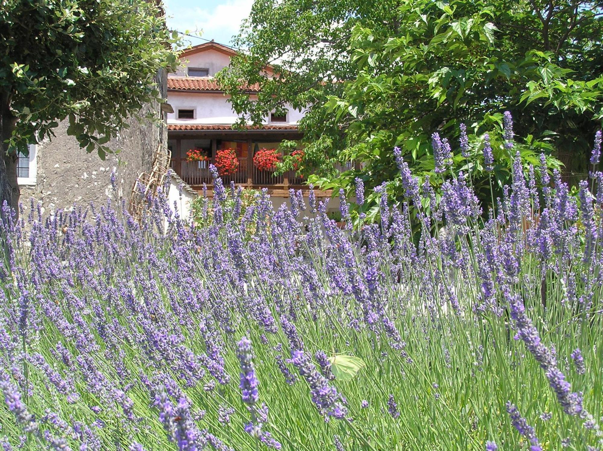 Pliskovica Youth Hostel ภายนอก รูปภาพ